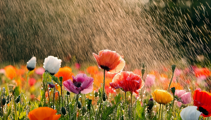 April Travel Nursing Contracts: How to Land the Best Assignments